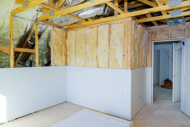 Best Commercial Insulation in Riverview, SC