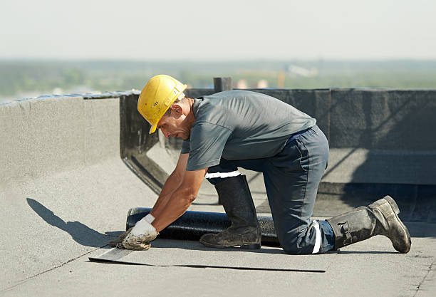 Best DIY Insulation Kits and Guidance in Riverview, SC